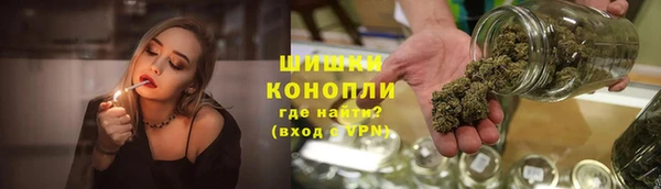 ГАЛЛЮЦИНОГЕННЫЕ ГРИБЫ Корсаков