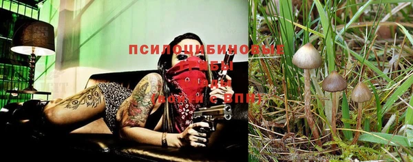 дживик Кодинск