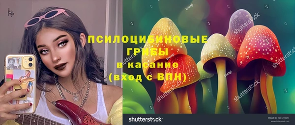 дживик Кодинск