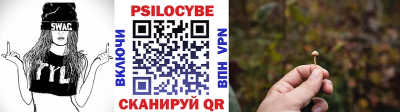 Купить закладки  Лениногорск  Галлюциногенные грибы GOLDEN TEACHER 